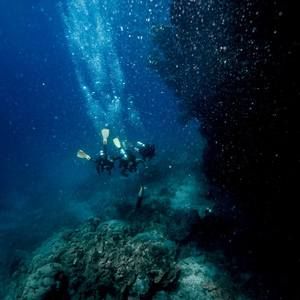 Meet your Posher, Lana